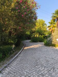 01897b9b 06c3 4c77 b3df c025e7e79cdd