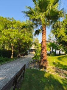 13a8fa80 77f5 40d5 be6a ab78658ec2ef