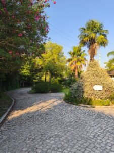 2c96764a d331 4409 af60 9c6bee0a8717