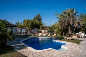 9ba4ab90 8af1 4c61 a325 eea120bca355