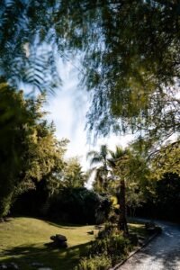 aaf2b3c8 e88e 4fea a155 d21413d7065f