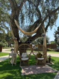 cd721558 0379 43e8 b45b 7d87a3c6a423