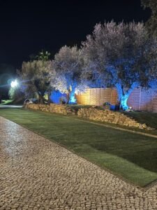 d90160f4 6800 4536 a0f2 bc057630608e