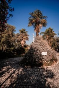 fe52d087 9740 4b83 83ba bbe0914d8b04